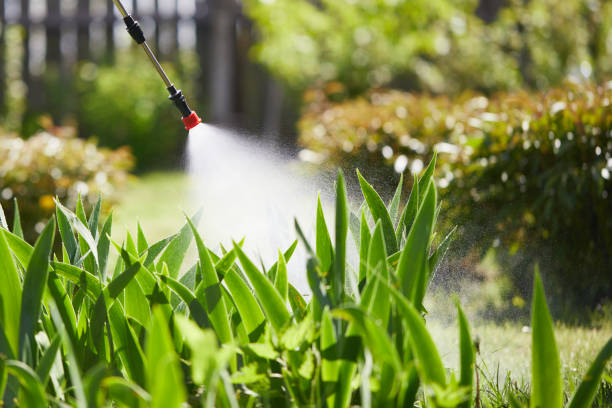 Tamper-Resistant Bait Stations for Rodents in Lowellville