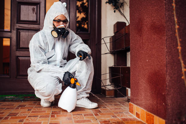 Attic and Crawl Space Rodent Treatment in Lowellville
