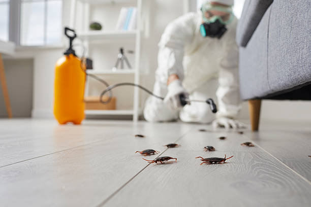 Commercial Rodent Management in Lowellville